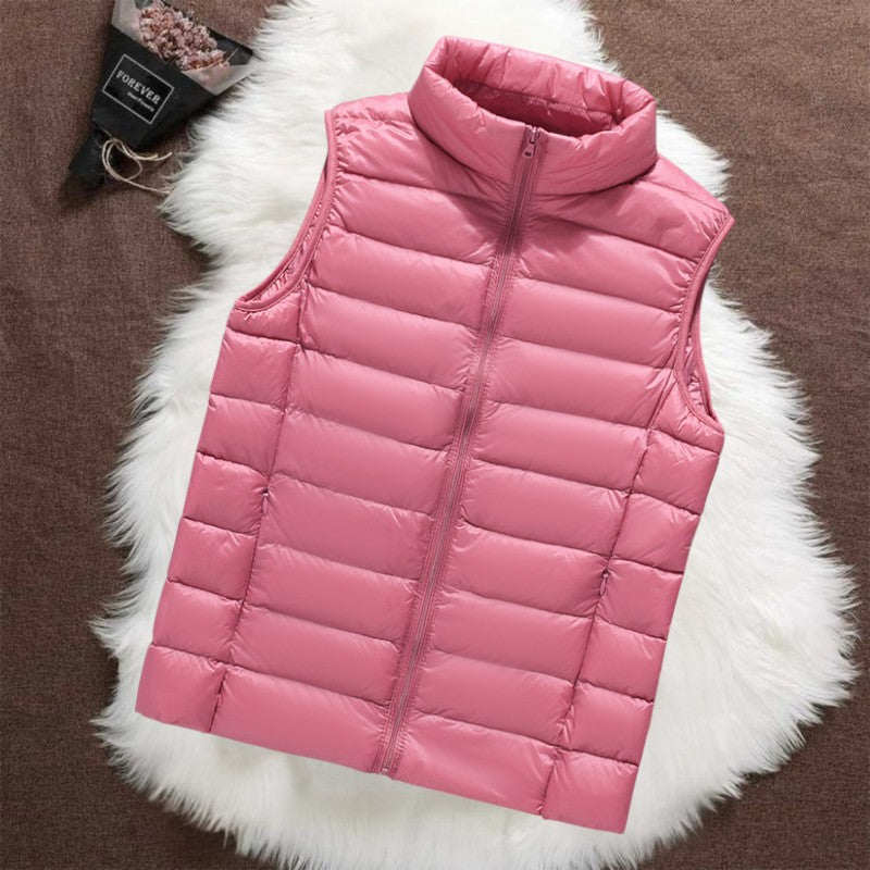 ISA | Classic Salmon